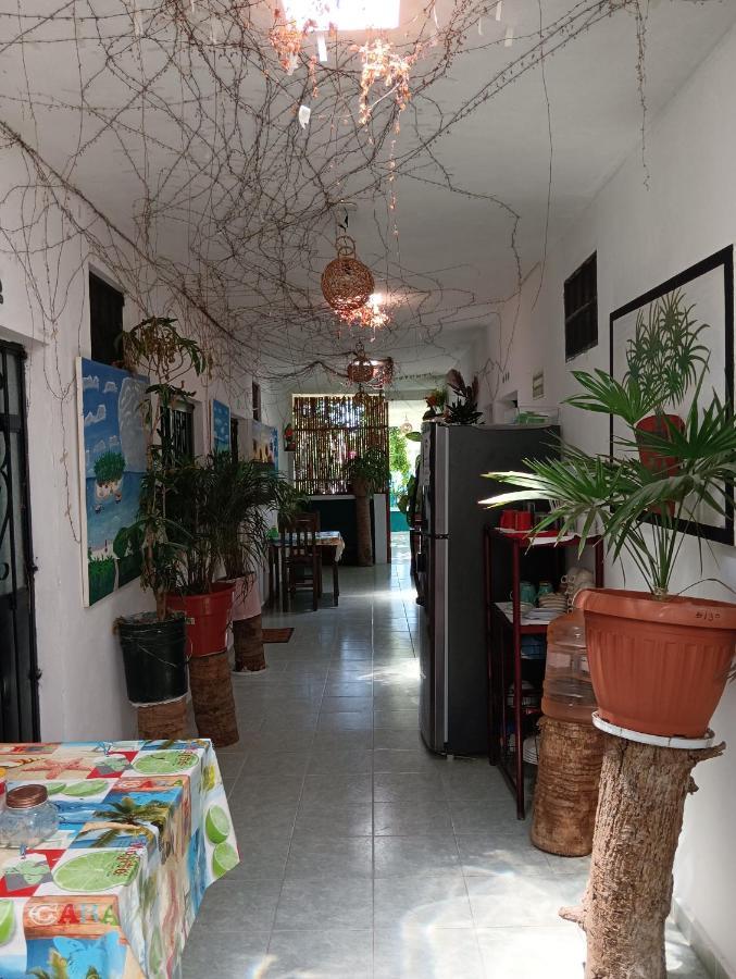 Alojamiento Ya'Ax Nah Playa del Carmen Buitenkant foto